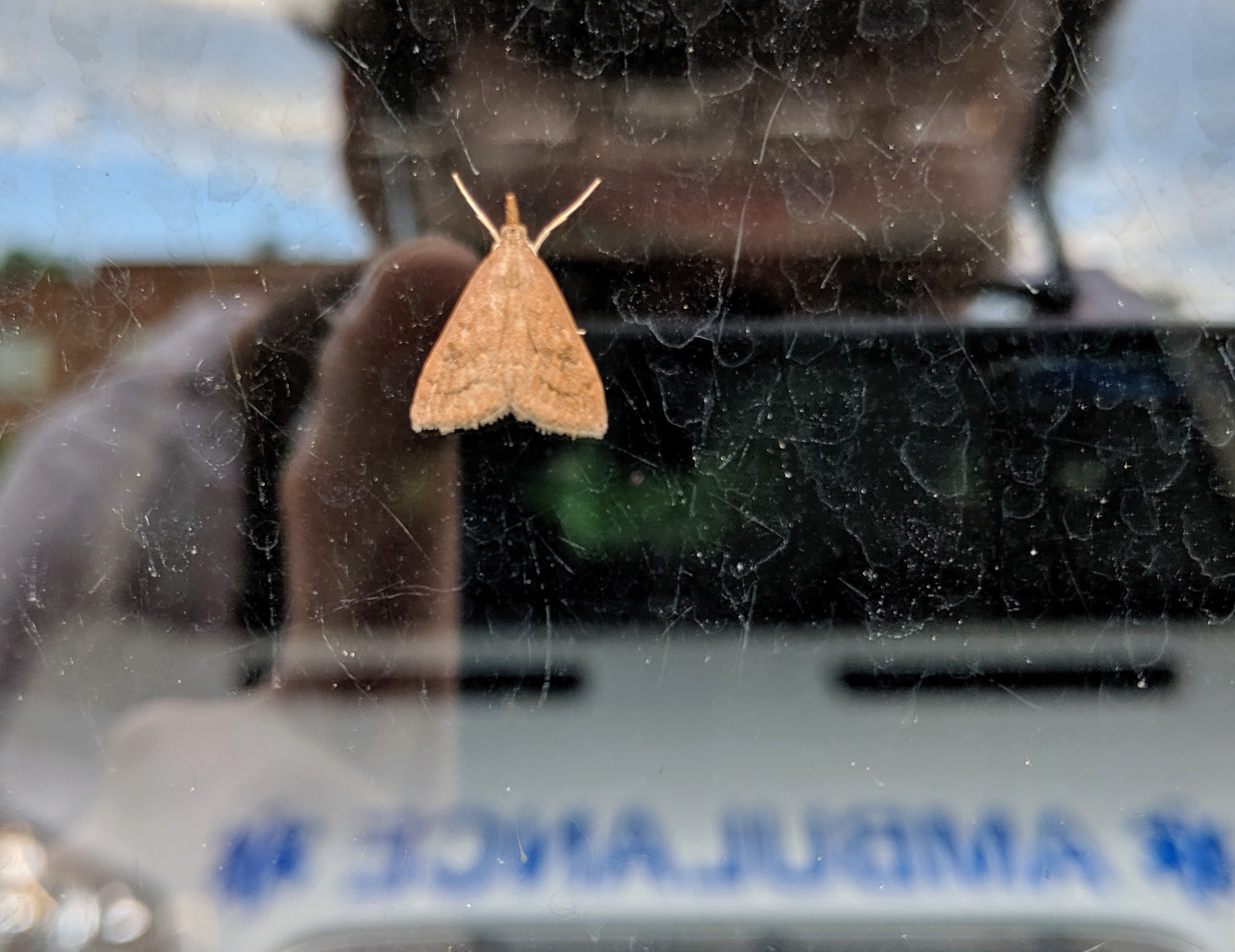 Ignore the creepy guy in the window_20190520.jpg